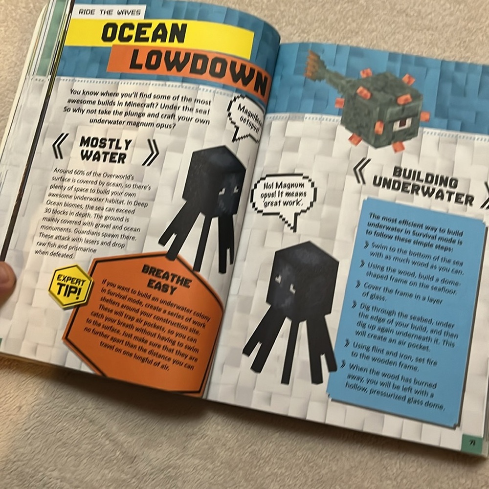 Minecraft Master Builder Book - Picture 3 of 5